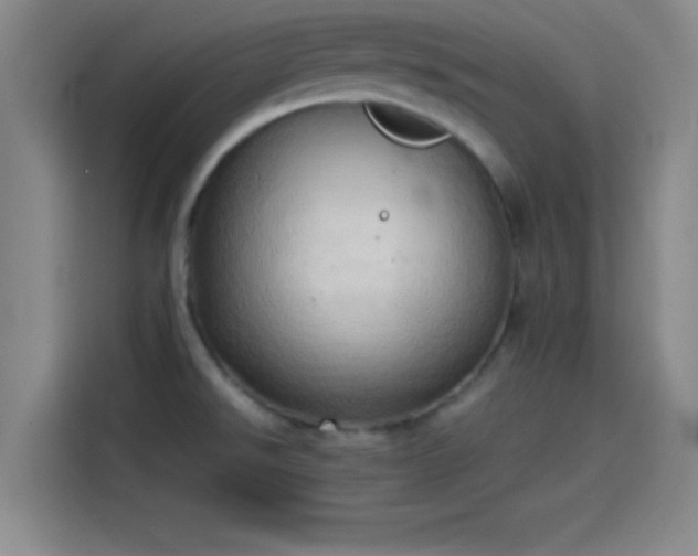 X0000114061526200910131135