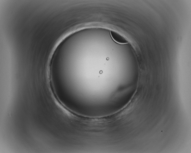 X0000114061527200910131135