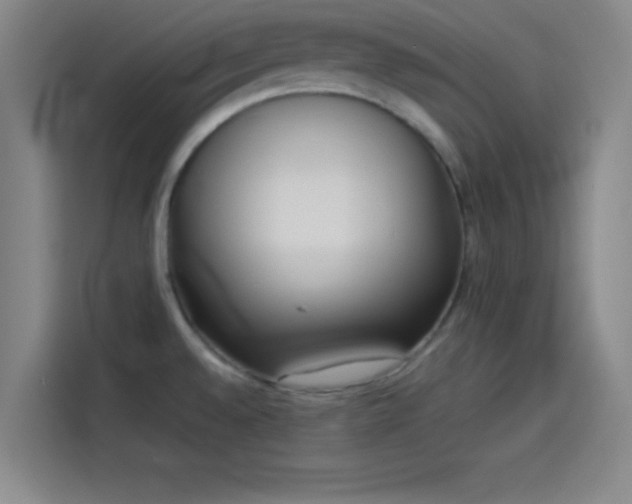 X0000114061528200910131135