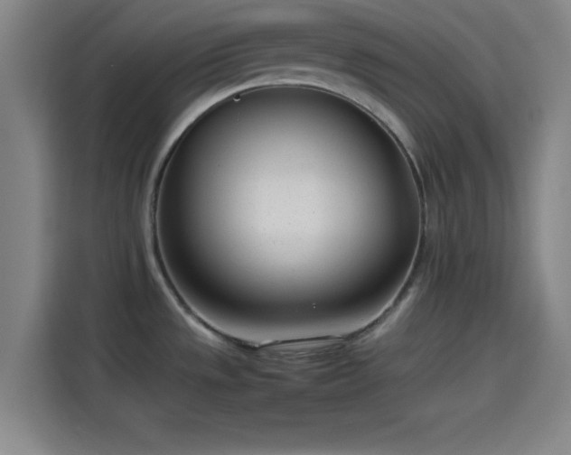 X0000114061533200910131135