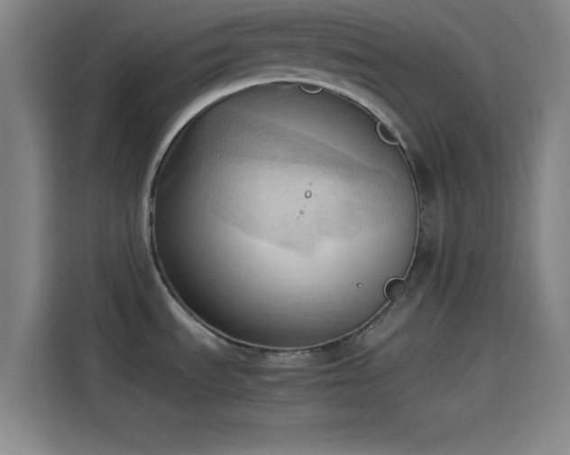 X0000114061535200910131135