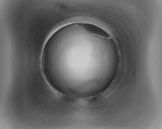 X0000114061536200910131135