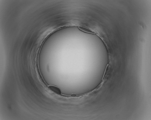 X0000114060001200910191511