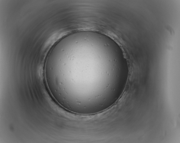 X0000114060002200910191511