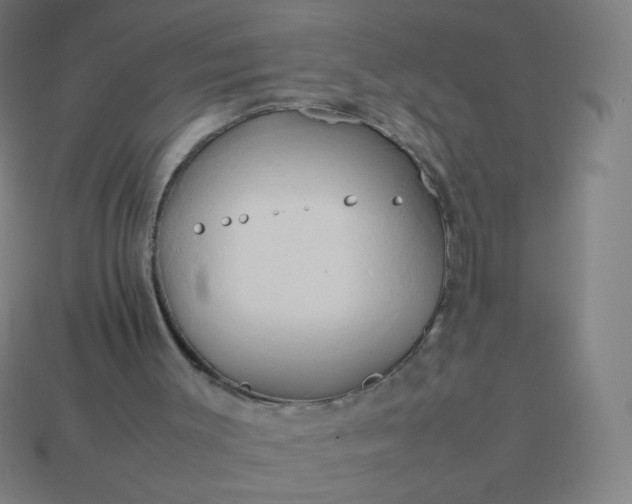 X0000114060003200910191511