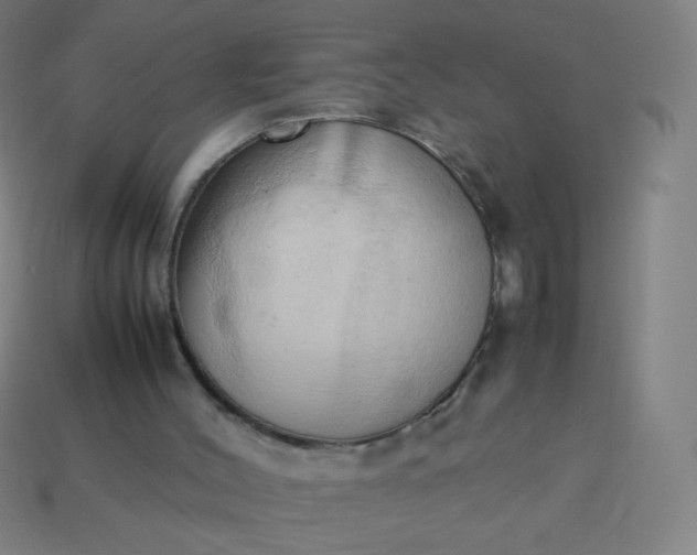 X0000114060004200910191511