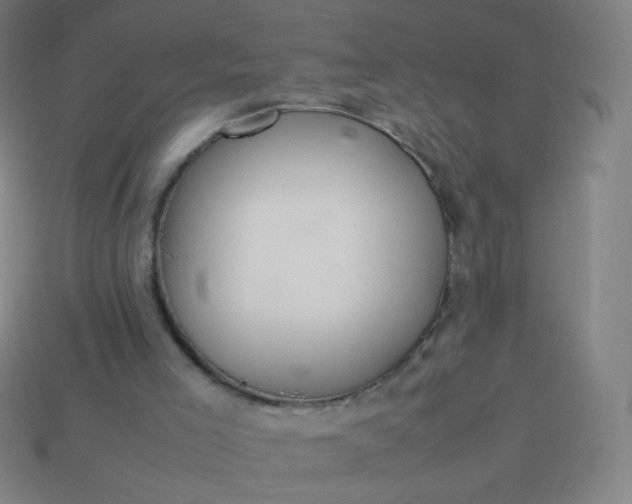 X0000114060005200910191511