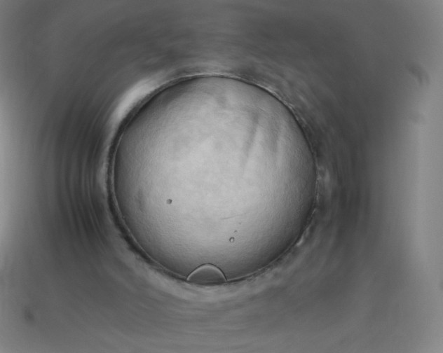 X0000114060006200910191511