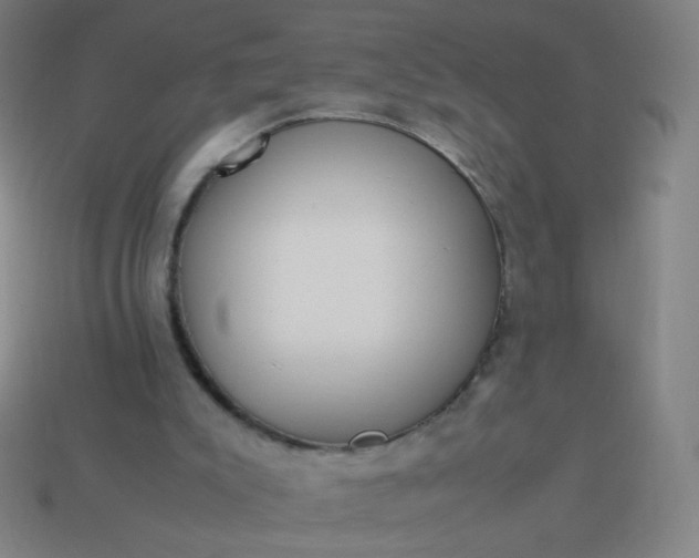 X0000114060007200910191511