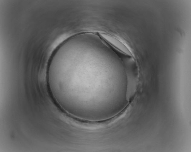 X0000114060008200910191511