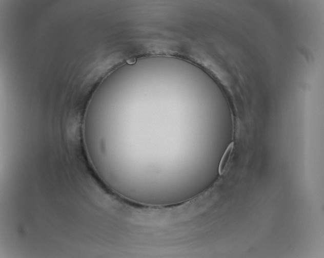 X0000114060009200910191511