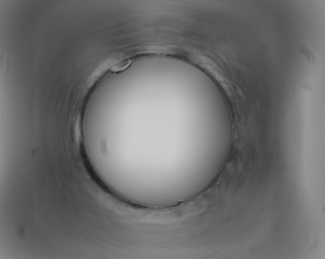 X0000114060011200910191511