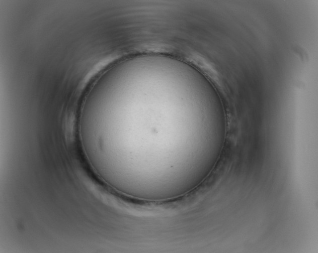 X0000114060012200910191511