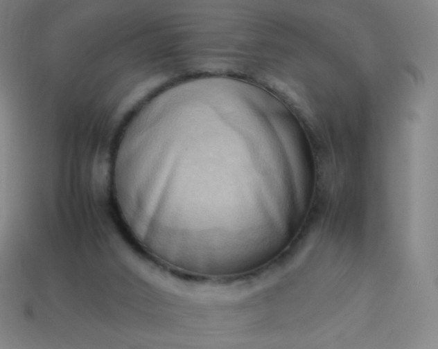 X0000114060016200910191510