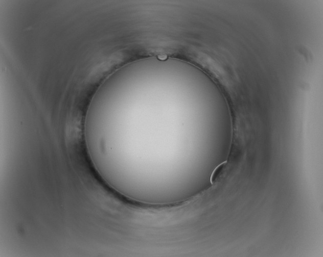 X0000114060017200910191510