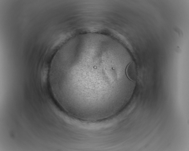 X0000114060018200910191510