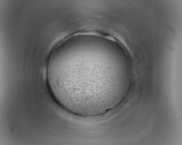 X0000114060019200910191510