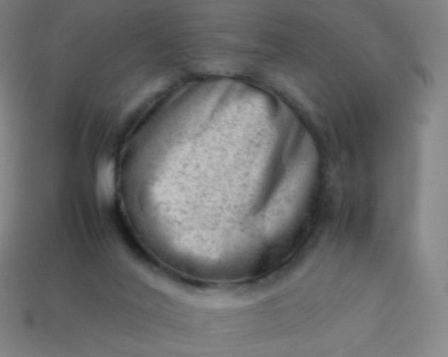 X0000114060020200910191510