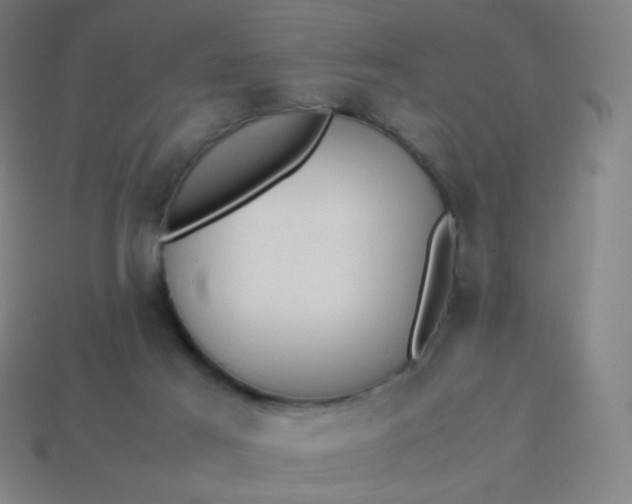 X0000114060021200910191510