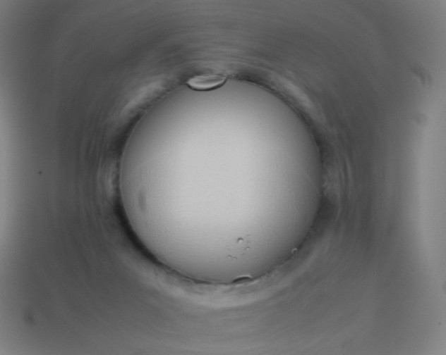 X0000114060023200910191510