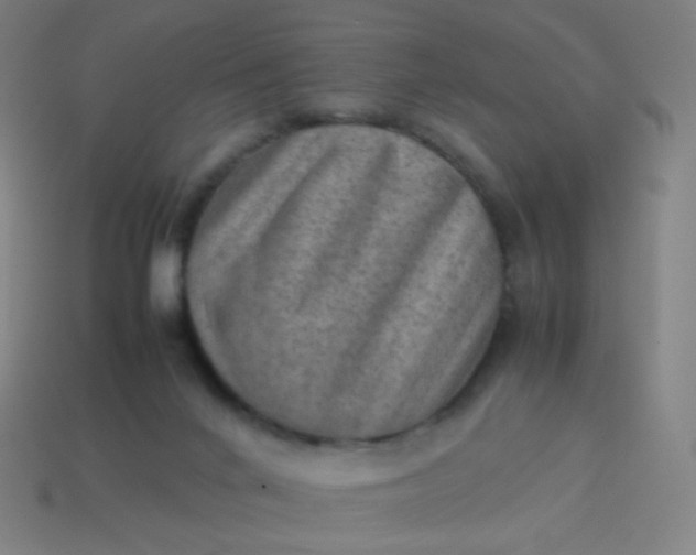 X0000114060024200910191510