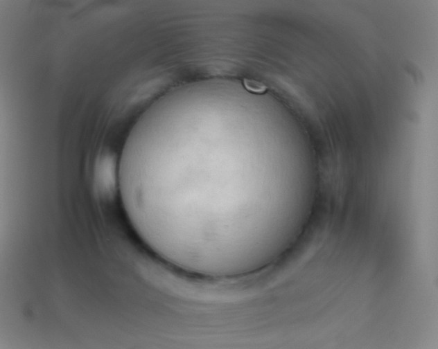 X0000114060028200910191510