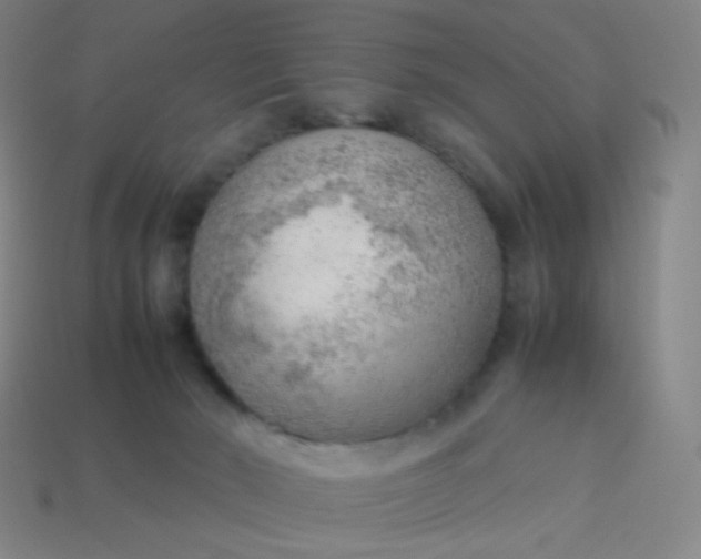 X0000114060030200910191510