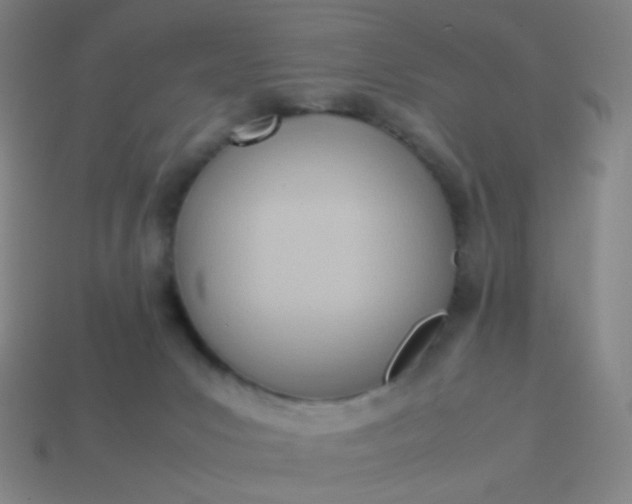 X0000114060031200910191510