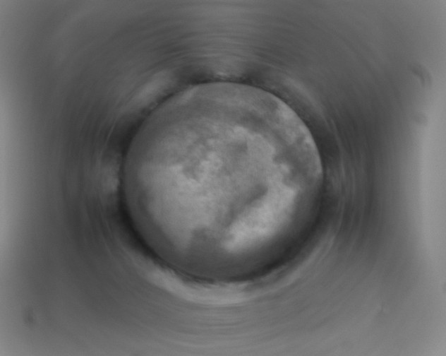 X0000114060032200910191510