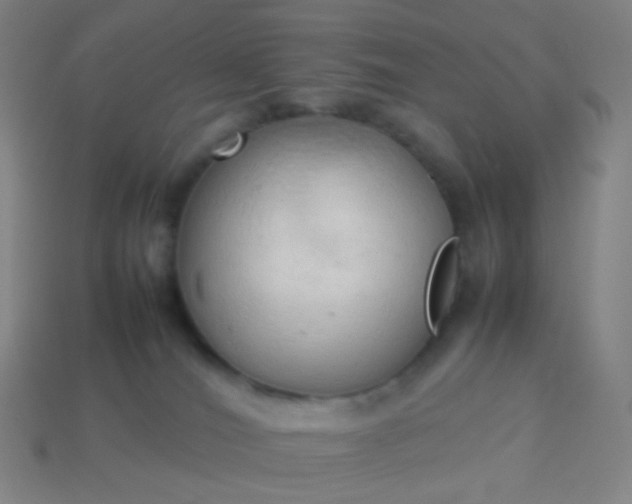 X0000114060036200910191510