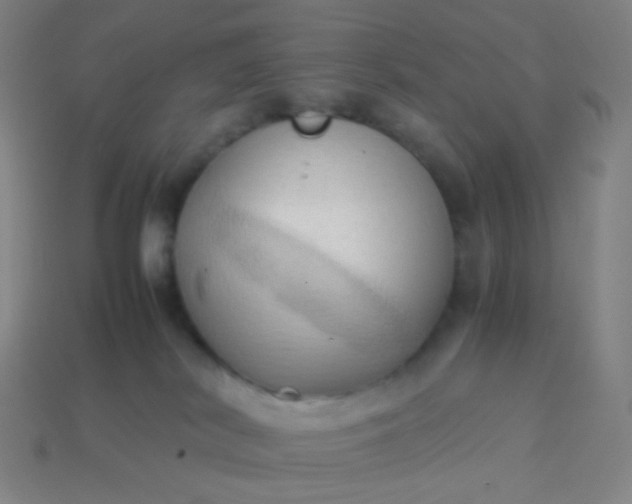 X0000114060038200910191510