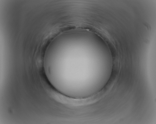 X0000114060039200910191510