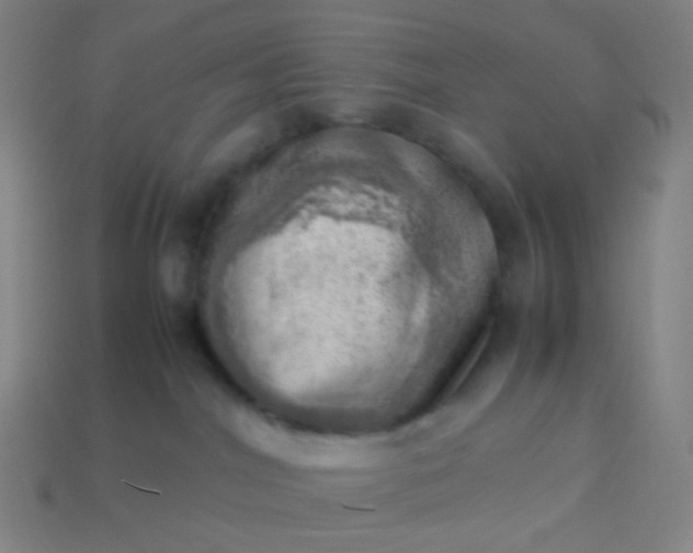 X0000114060044200910191510