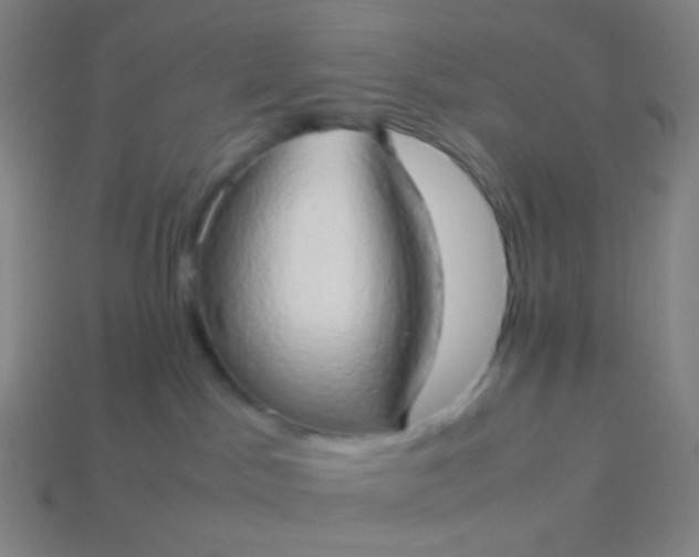 X0000114060045200910191510