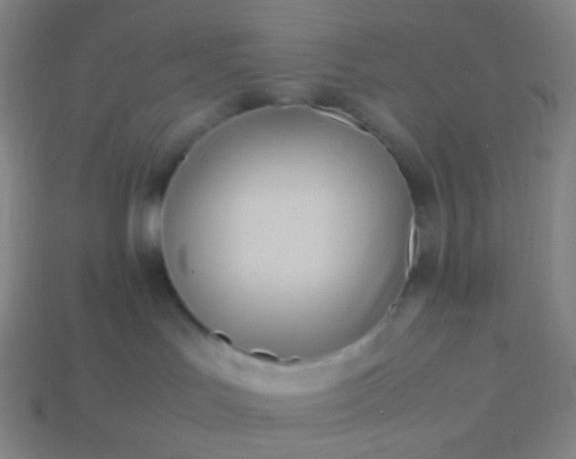 X0000114060047200910191510