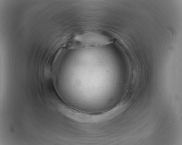 X0000114060048200910191510