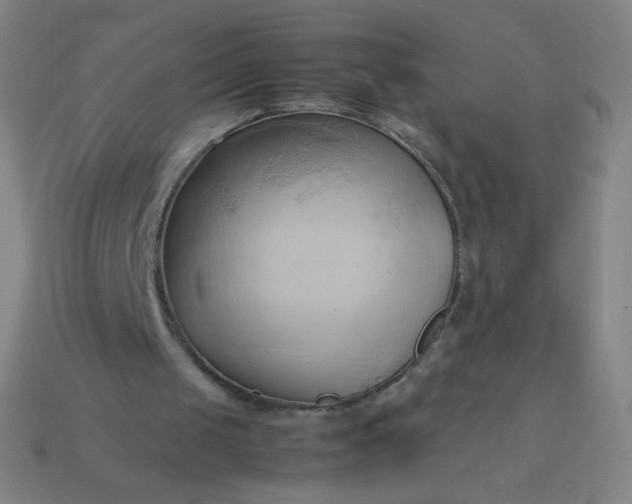 X0000114060049200910191509