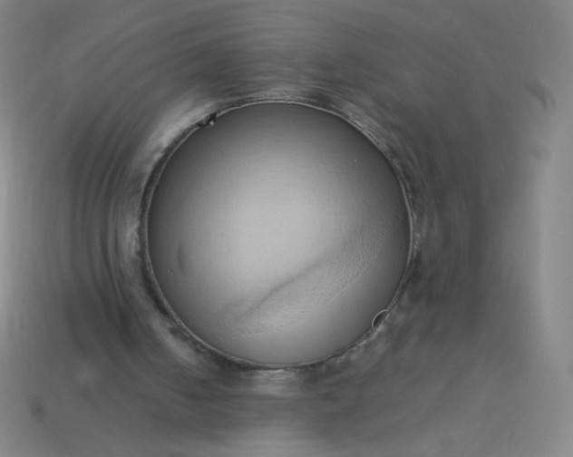 X0000114060050200910191509