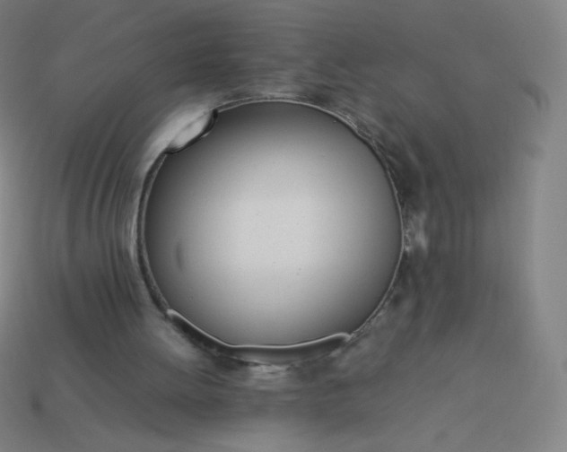 X0000114060052200910191509