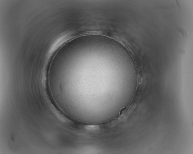 X0000114060053200910191509