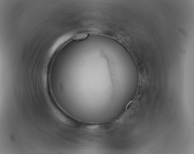 X0000114060054200910191509