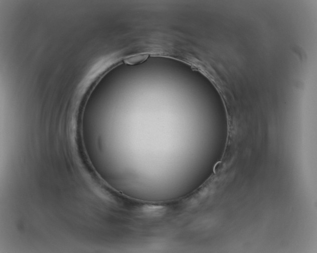 X0000114060055200910191510