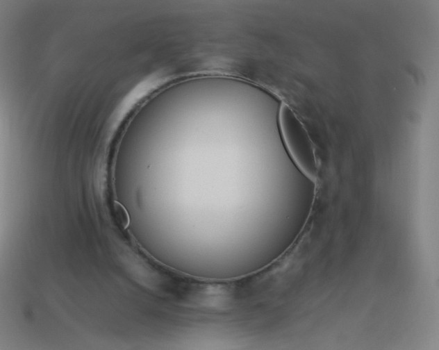 X0000114060056200910191510