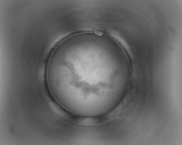 X0000114060058200910191510