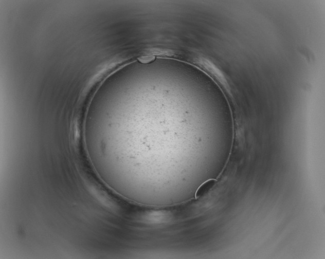 X0000114060059200910191510