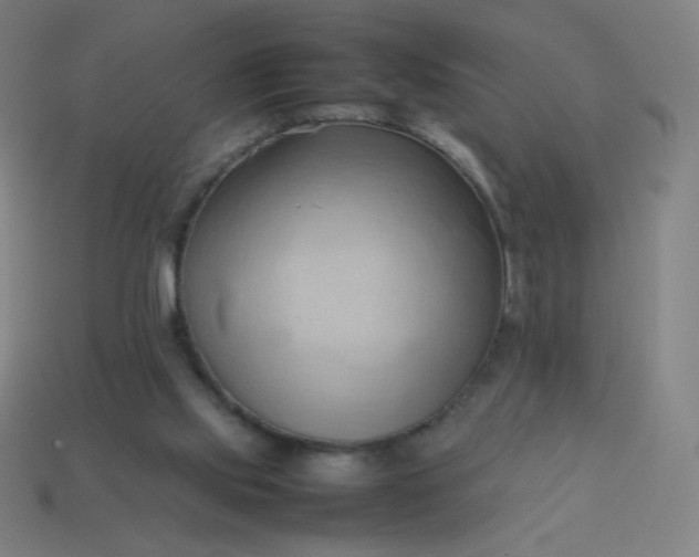 X0000114060061200910191510