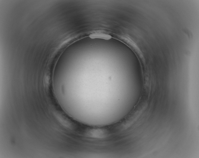 X0000114060063200910191510