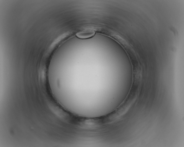 X0000114060064200910191510