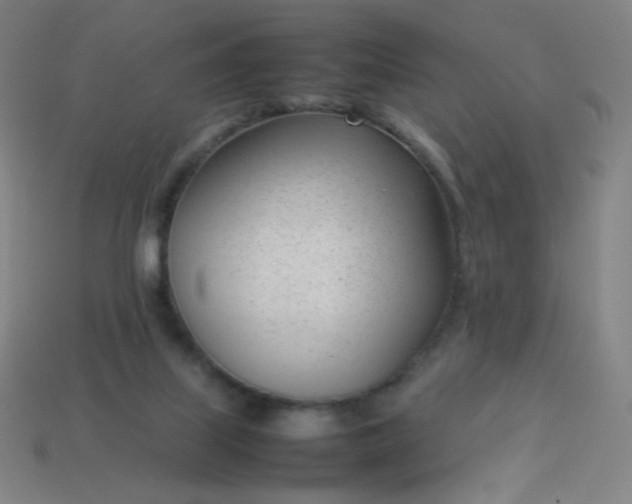 X0000114060067200910191510