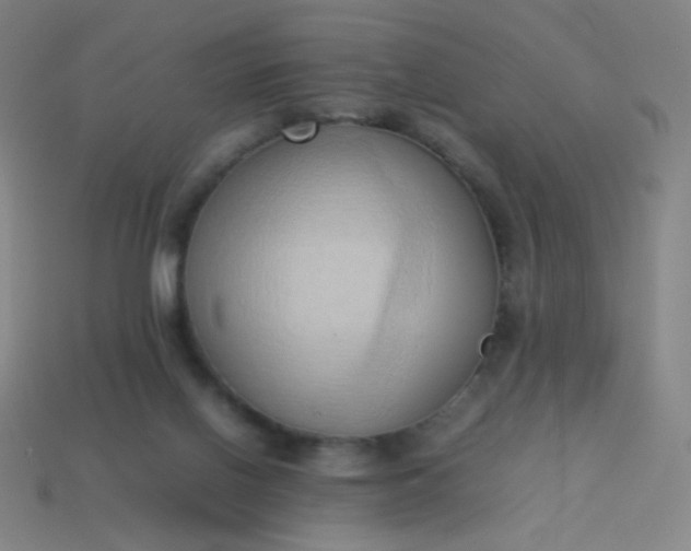 X0000114060070200910191510